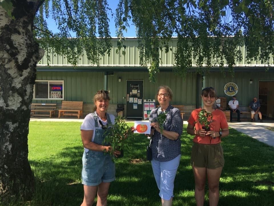 FISH tomato start fundraiser